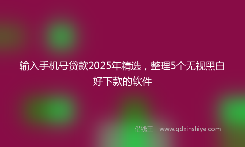 输入手机号贷款2025年精选，整理5个无视黑白好下款的软件