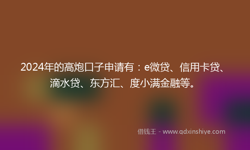 2024年的高炮口子申请有：e微贷、信用卡贷、滴水贷、东方汇、度小满金融等。