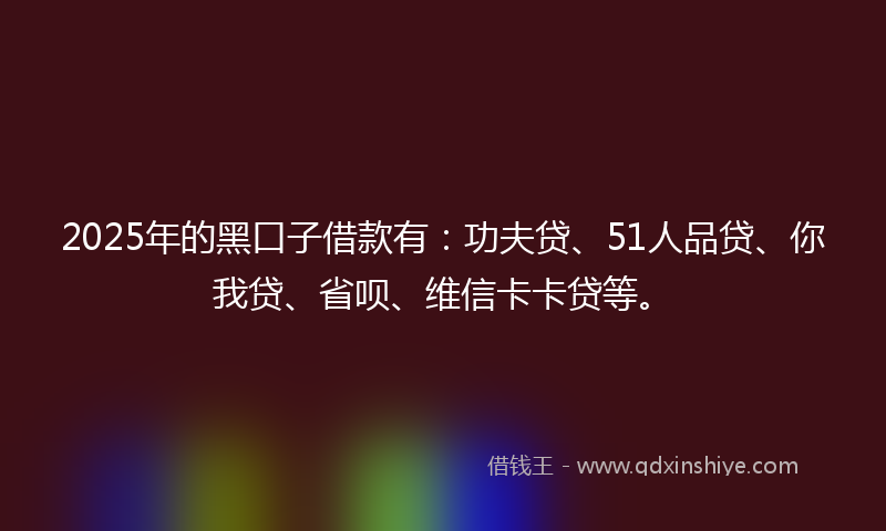 2025年的黑口子借款有：功夫贷、51人品贷、你我贷、省呗、维信卡卡贷等。