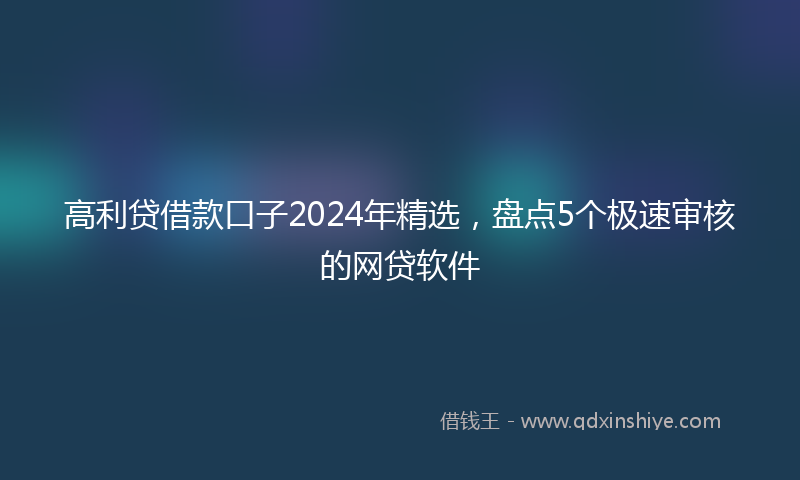 高利贷借款口子2024年精选，盘点5个极速审核的网贷软件