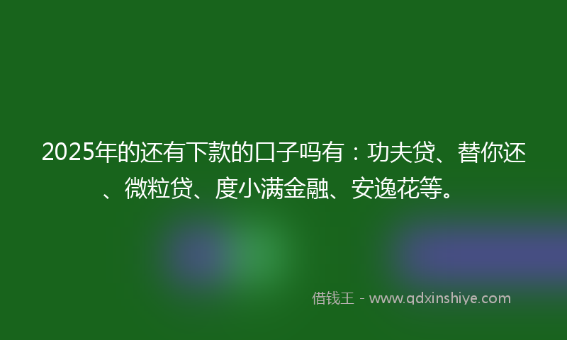 2025年的还有下款的口子吗有：功夫贷、替你还、微粒贷、度小满金融、安逸花等。