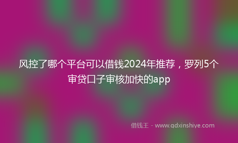 风控了哪个平台可以借钱2024年推荐，罗列5个审贷口子审核加快的app