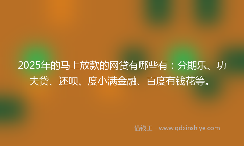2025年的马上放款的网贷有哪些有：分期乐、功夫贷、还呗、度小满金融、百度有钱花等。