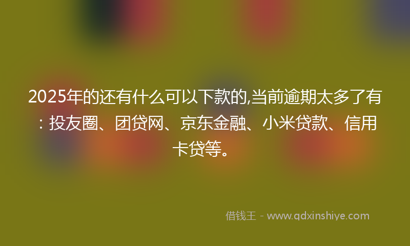 2025年的还有什么可以下款的,当前逾期太多了有：投友圈、团贷网、京东金融、小米贷款、信用卡贷等。