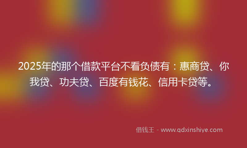 2025年的那个借款平台不看负债有：惠商贷、你我贷、功夫贷、百度有钱花、信用卡贷等。