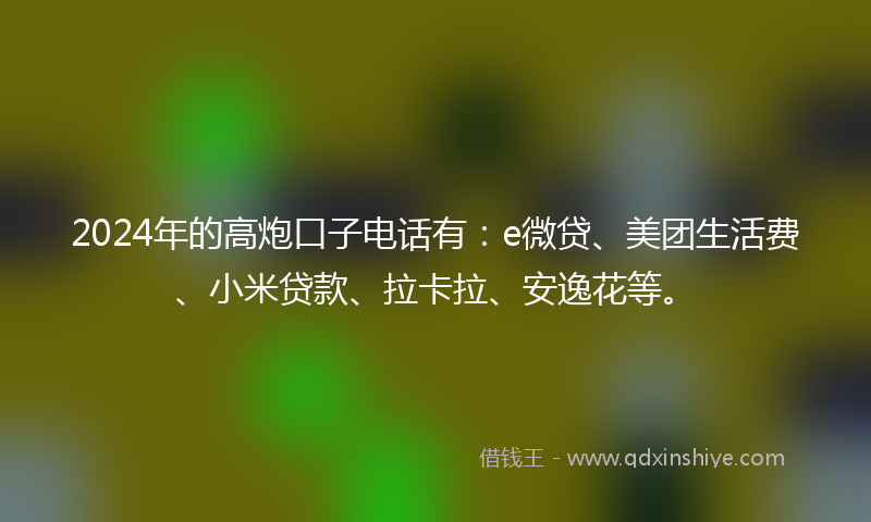 2024年的高炮口子电话有：e微贷、美团生活费、小米贷款、拉卡拉、安逸花等。