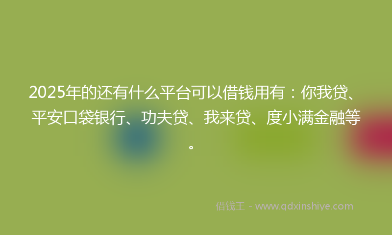2025年的还有什么平台可以借钱用有：你我贷、平安口袋银行、功夫贷、我来贷、度小满金融等。