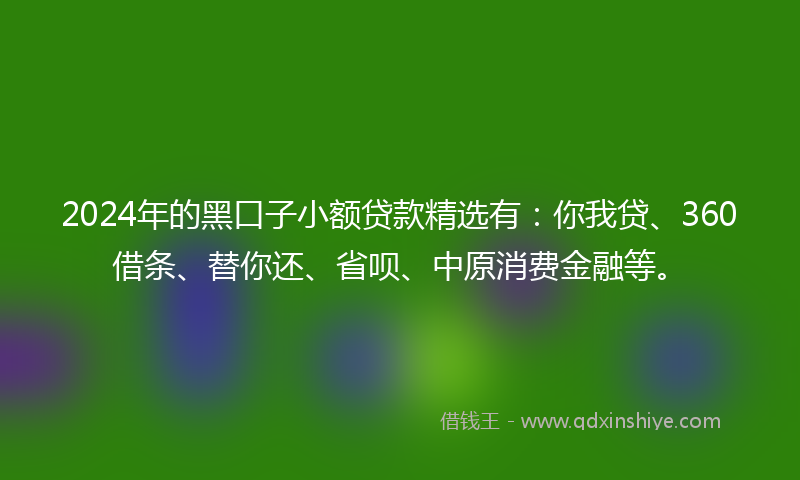 2024年的黑口子小额贷款精选有：你我贷、360借条、替你还、省呗、中原消费金融等。