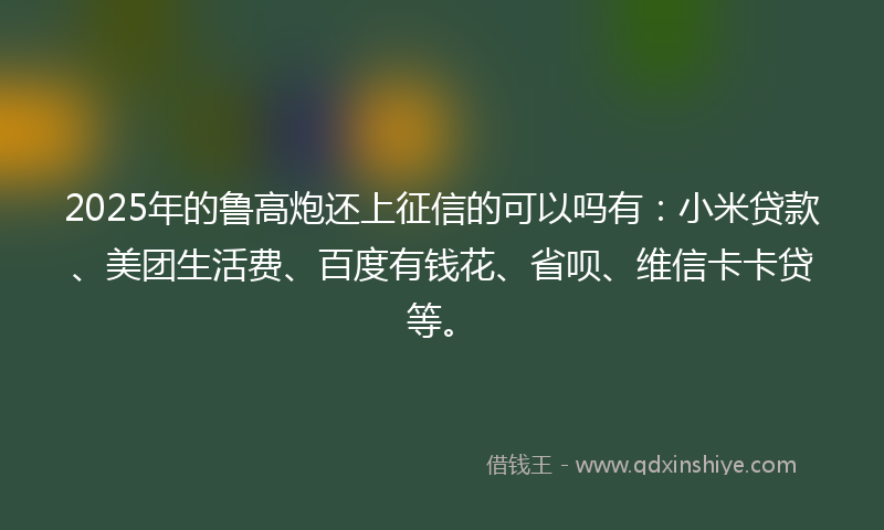 2025年的鲁高炮还上征信的可以吗有：小米贷款、美团生活费、百度有钱花、省呗、维信卡卡贷等。