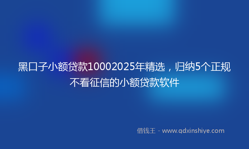 黑口子小额贷款10002025年精选，归纳5个正规不看征信的小额贷款软件