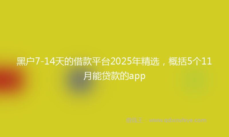 黑户7-14天的借款平台2025年精选，概括5个11月能贷款的app