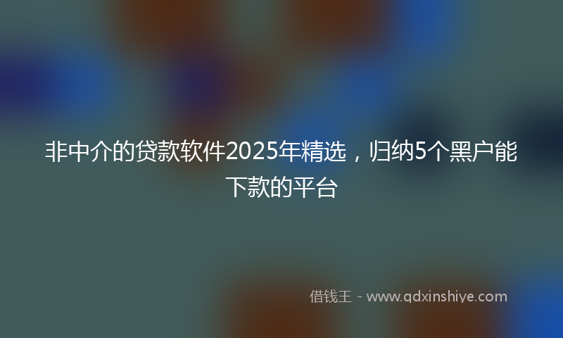 非中介的贷款软件2025年精选，归纳5个黑户能下款的平台