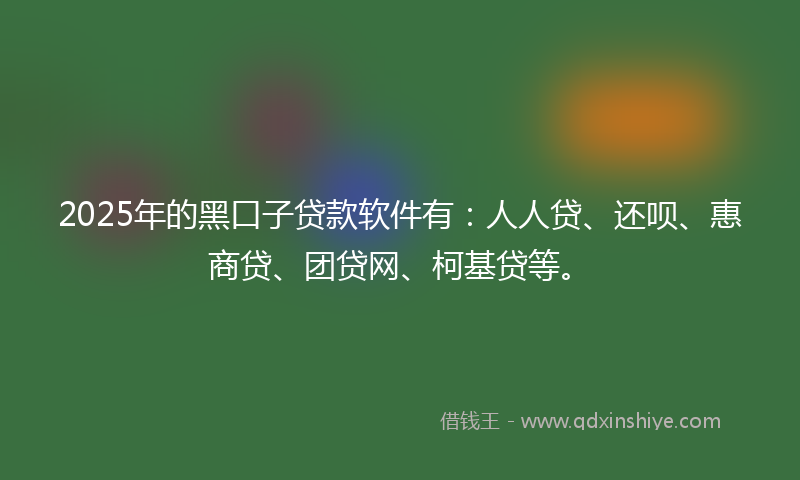 2025年的黑口子贷款软件有：人人贷、还呗、惠商贷、团贷网、柯基贷等。