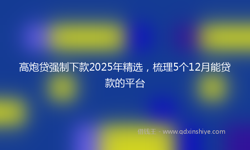 高炮贷强制下款2025年精选，梳理5个12月能贷款的平台