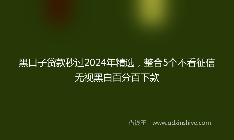 黑口子贷款秒过2024年精选，整合5个不看征信无视黑白百分百下款