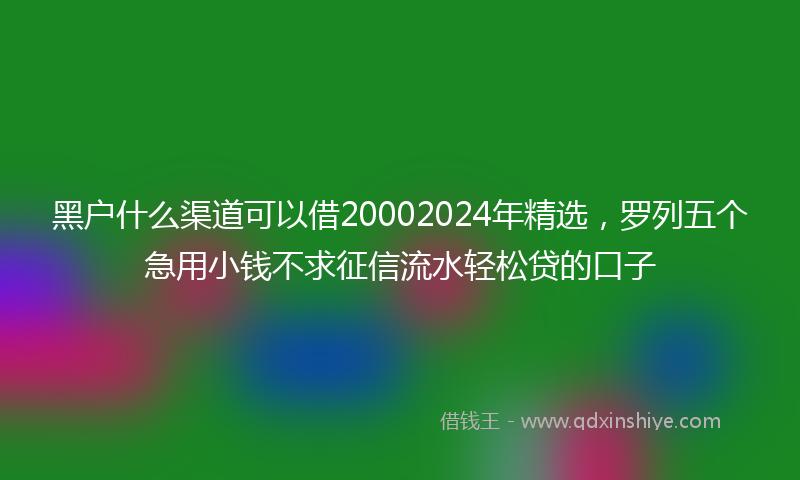 黑户什么渠道可以借20002024年精选，罗列五个急用小钱不求征信流水轻松贷的口子