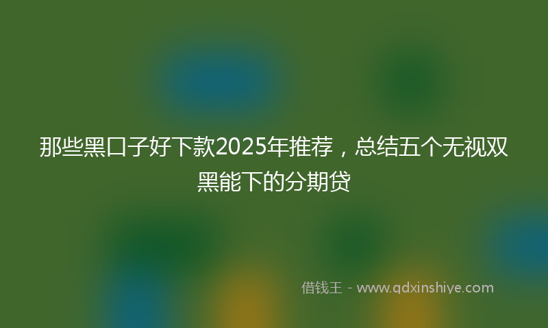 那些黑口子好下款2025年推荐，总结五个无视双黑能下的分期贷