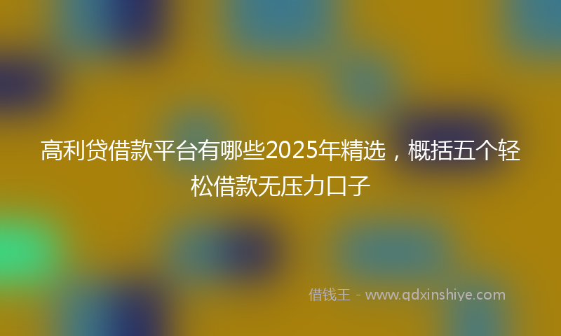 高利贷借款平台有哪些2025年精选，概括五个轻松借款无压力口子