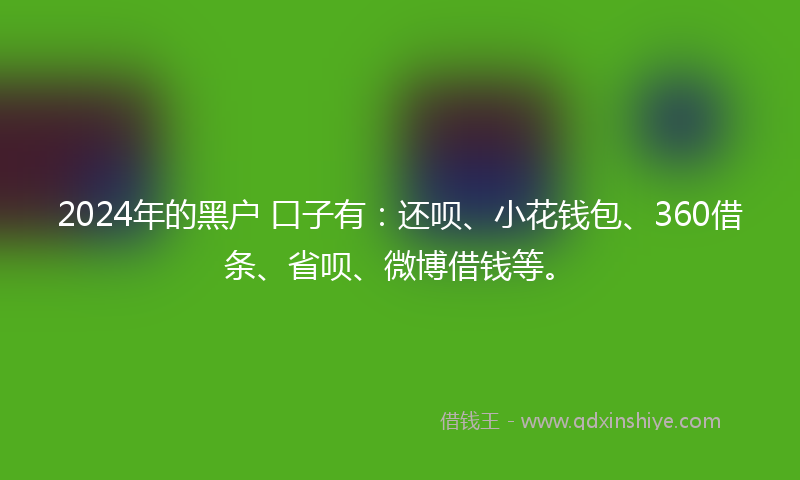 2024年的黑户 口子有：还呗、小花钱包、360借条、省呗、微博借钱等。