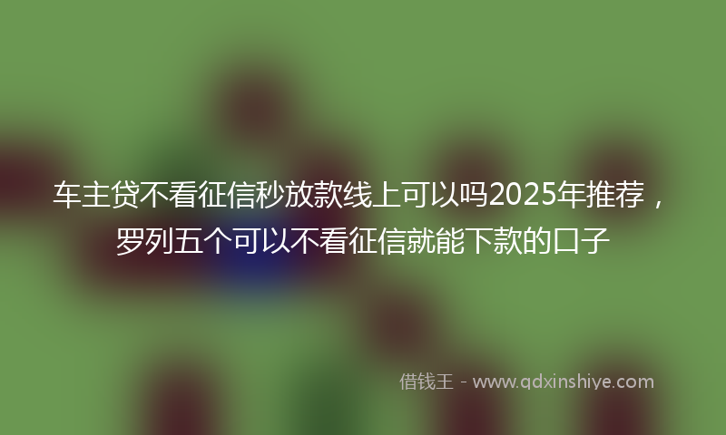 车主贷不看征信秒放款线上可以吗2025年推荐，罗列五个可以不看征信就能下款的口子
