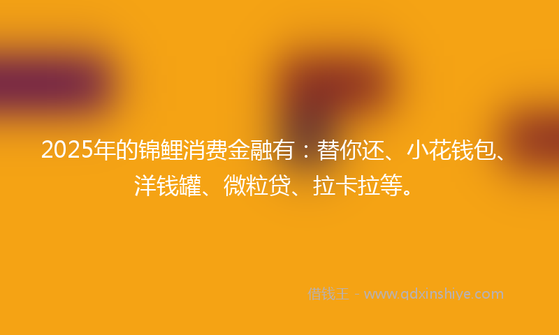 2025年的锦鲤消费金融有：替你还、小花钱包、洋钱罐、微粒贷、拉卡拉等。