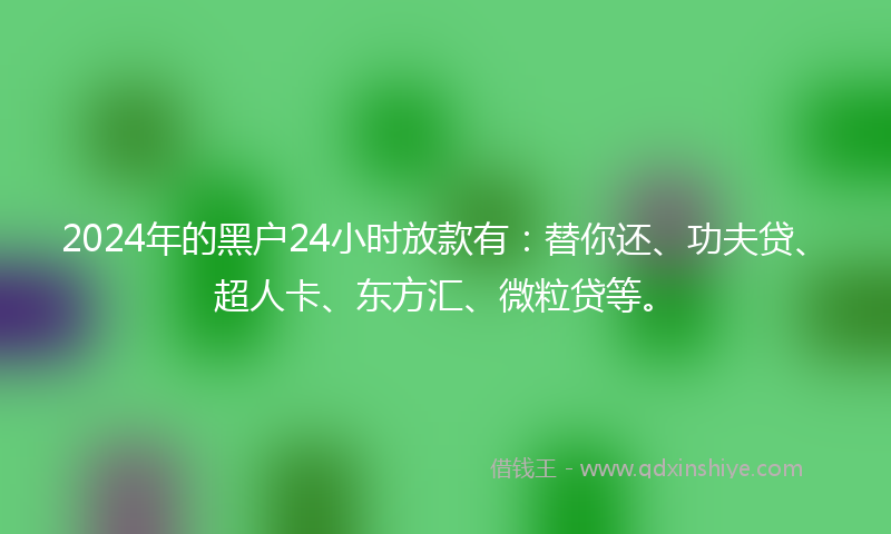 2024年的黑户24小时放款有：替你还、功夫贷、超人卡、东方汇、微粒贷等。