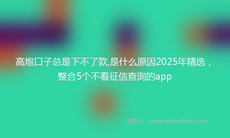 高炮口子总是下不了款,是什么原因2025年精选，整合5个不看征信查询的app