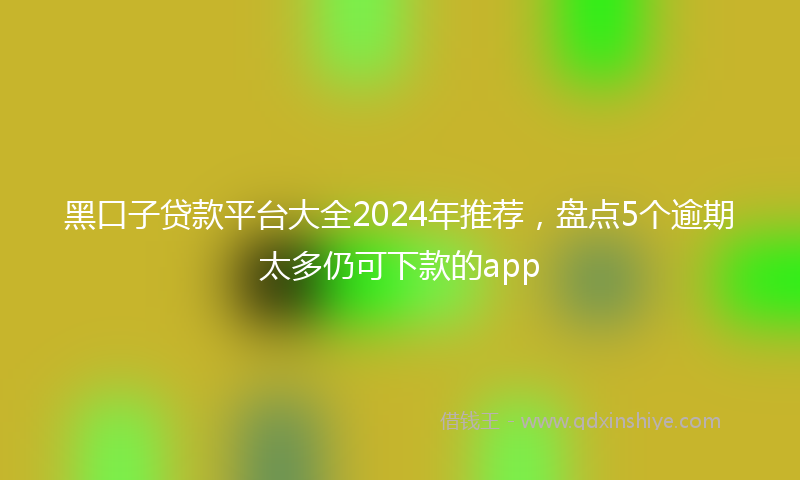 黑口子贷款平台大全2024年推荐，盘点5个逾期太多仍可下款的app