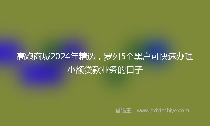 高炮商城2024年精选，罗列5个黑户可快速办理小额贷款业务的口子