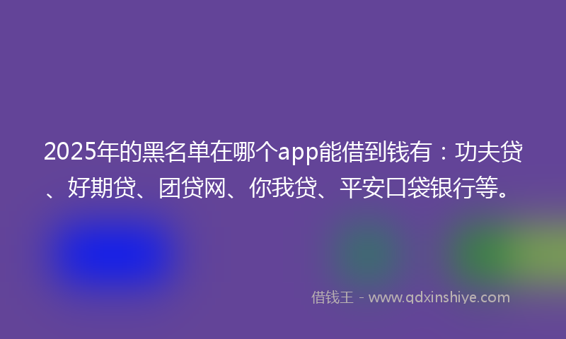 2025年的黑名单在哪个app能借到钱有：功夫贷、好期贷、团贷网、你我贷、平安口袋银行等。