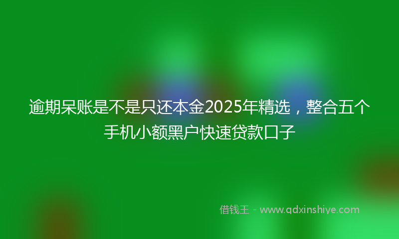 逾期呆账是不是只还本金2025年精选，整合五个手机小额黑户快速贷款口子