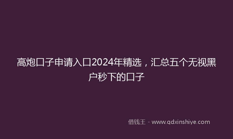 高炮口子申请入口2024年精选，汇总五个无视黑户秒下的口子