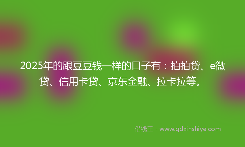 2025年的跟豆豆钱一样的口子有：拍拍贷、e微贷、信用卡贷、京东金融、拉卡拉等。