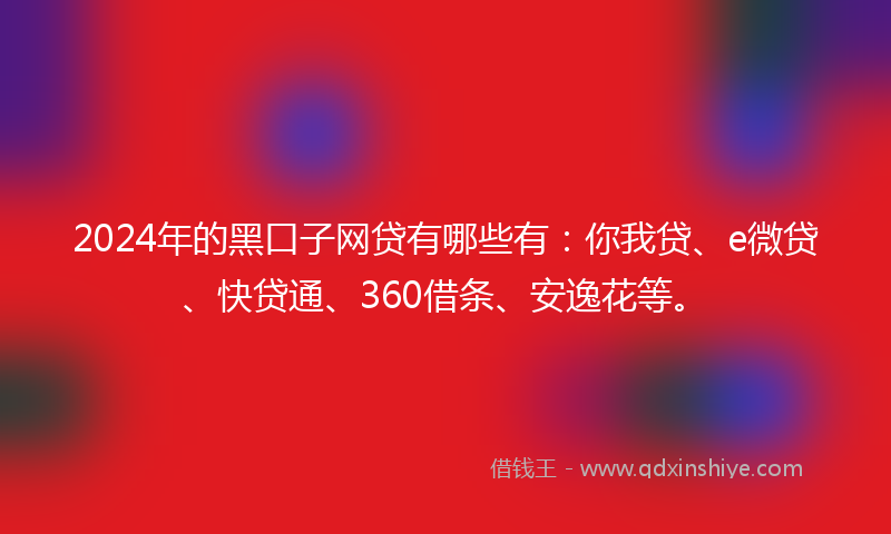 2024年的黑口子网贷有哪些有：你我贷、e微贷、快贷通、360借条、安逸花等。