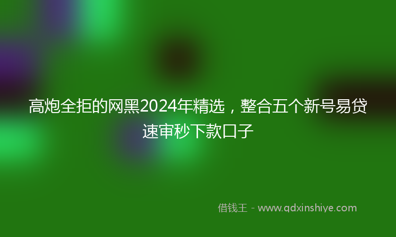 高炮全拒的网黑2024年精选，整合五个新号易贷速审秒下款口子