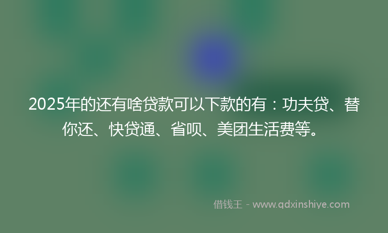 2025年的还有啥贷款可以下款的有：功夫贷、替你还、快贷通、省呗、美团生活费等。