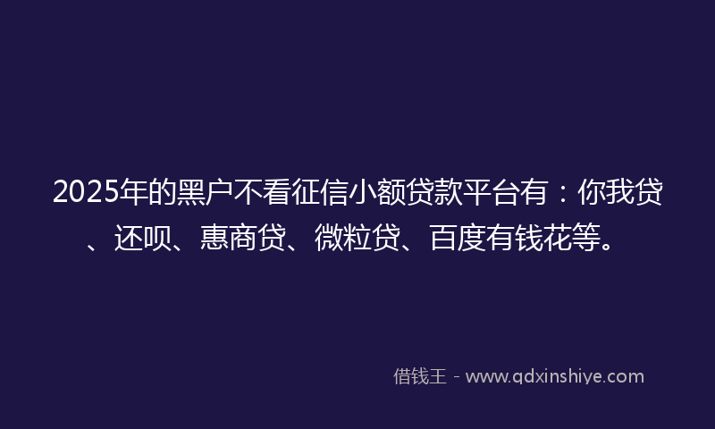 2025年的黑户不看征信小额贷款平台有：你我贷、还呗、惠商贷、微粒贷、百度有钱花等。