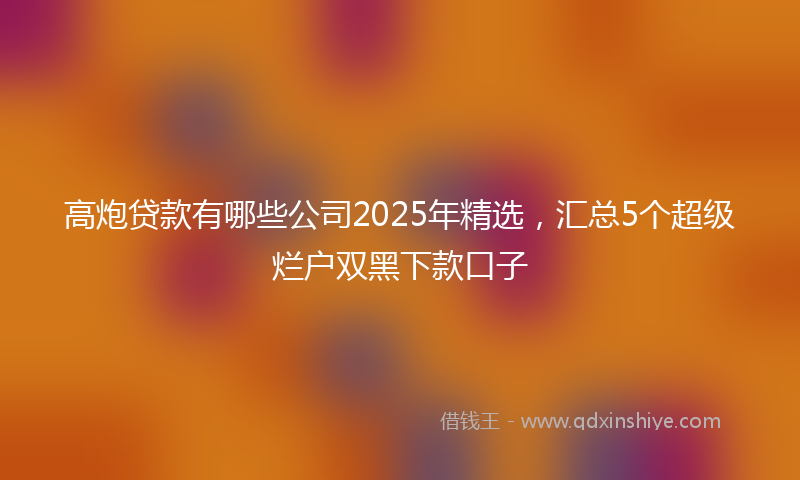 高炮贷款有哪些公司2025年精选，汇总5个超级烂户双黑下款口子