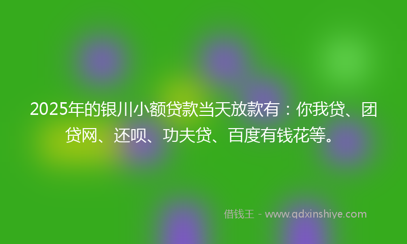 2025年的银川小额贷款当天放款有：你我贷、团贷网、还呗、功夫贷、百度有钱花等。