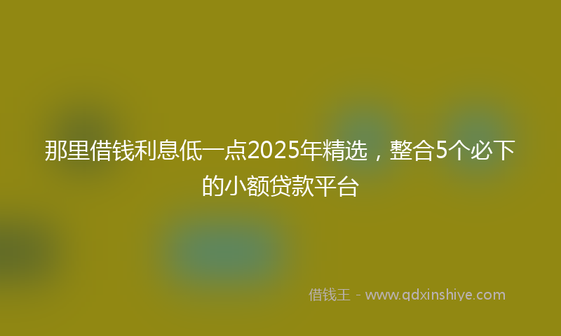 那里借钱利息低一点2025年精选，整合5个必下的小额贷款平台