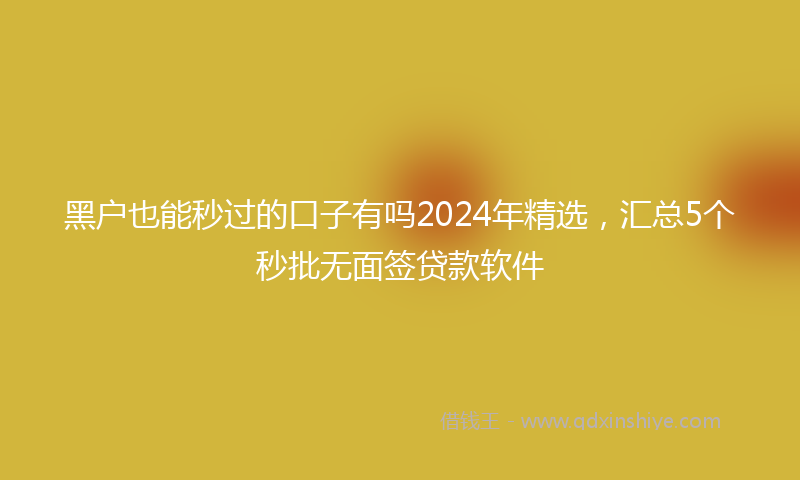 黑户也能秒过的口子有吗2024年精选，汇总5个秒批无面签贷款软件