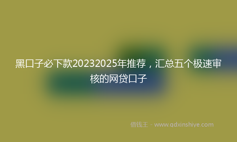 黑口子必下款20232025年推荐，汇总五个极速审核的网贷口子