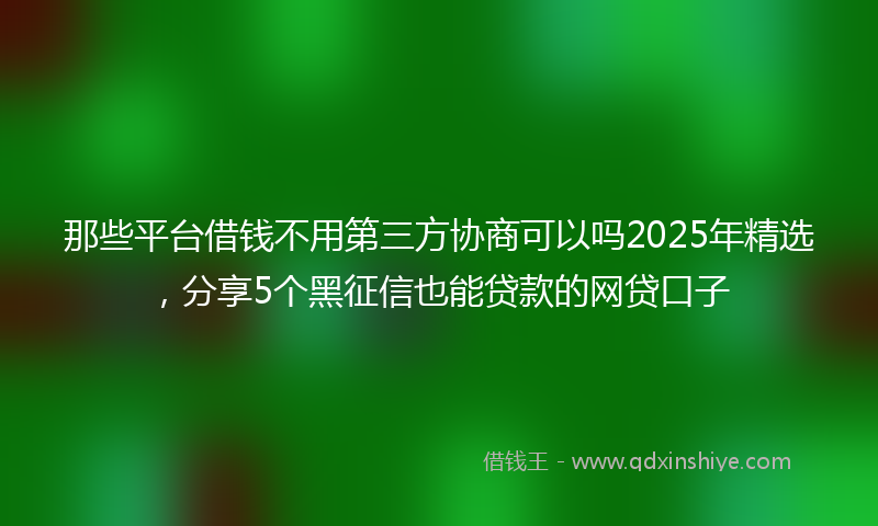 那些平台借钱不用第三方协商可以吗2025年精选，分享5个黑征信也能贷款的网贷口子