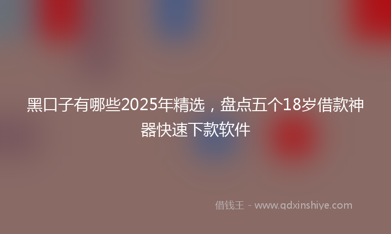 黑口子有哪些2025年精选，盘点五个18岁借款神器快速下款软件