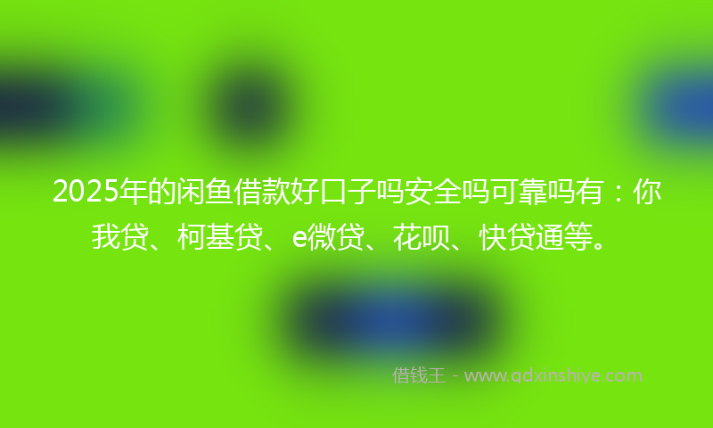 2025年的闲鱼借款好口子吗安全吗可靠吗有：你我贷、柯基贷、e微贷、花呗、快贷通等。
