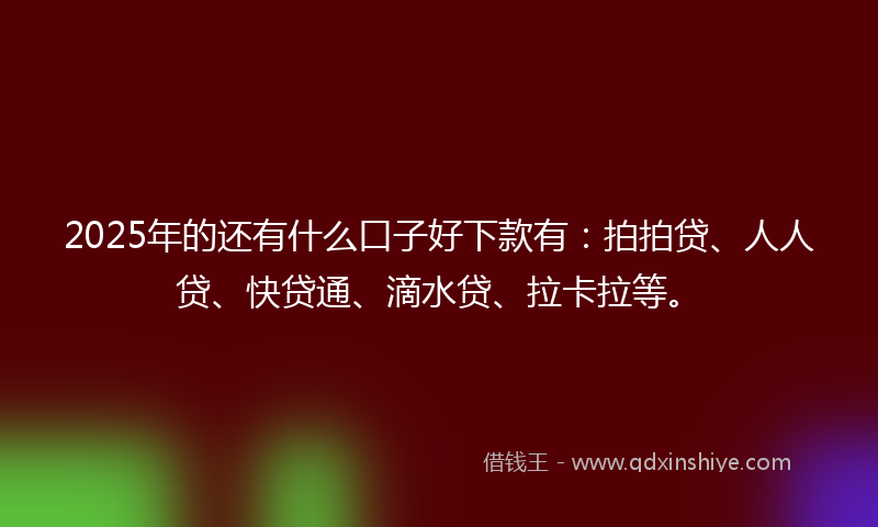 2025年的还有什么口子好下款有：拍拍贷、人人贷、快贷通、滴水贷、拉卡拉等。