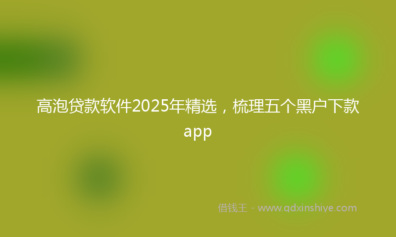高泡贷款软件2025年精选，梳理五个黑户下款app