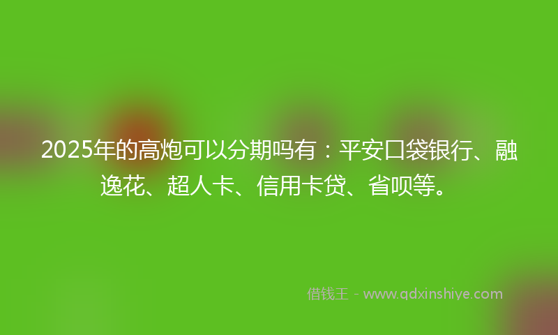 2025年的高炮可以分期吗有：平安口袋银行、融逸花、超人卡、信用卡贷、省呗等。
