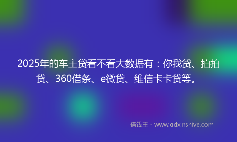 2025年的车主贷看不看大数据有：你我贷、拍拍贷、360借条、e微贷、维信卡卡贷等。