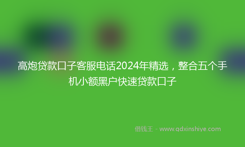高炮贷款口子客服电话2024年精选，整合五个手机小额黑户快速贷款口子
